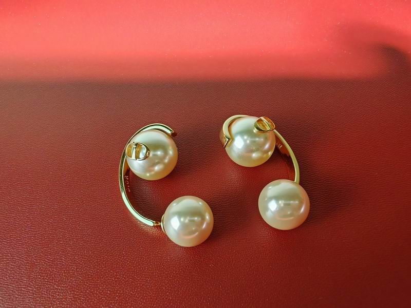 Dior Earring 04lyr211